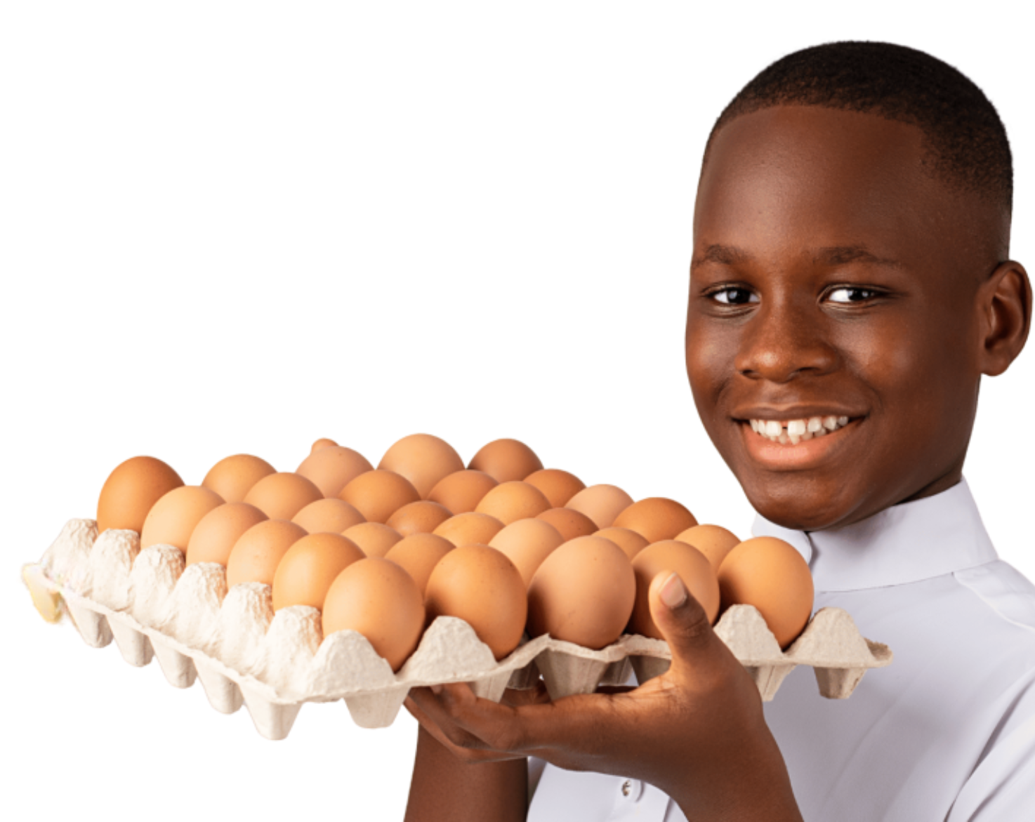 /images/model1.png